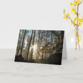 Carte Matin dans les bois de Pennsylvanie (Fleur jaune)