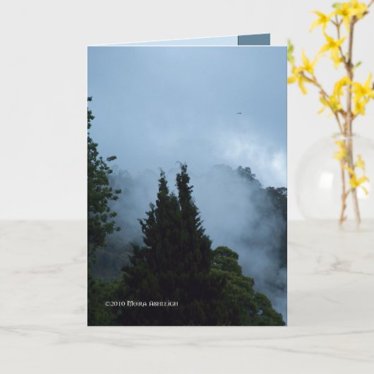 Carte Matin de Rotarua (Fleur jaune)