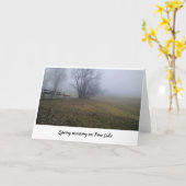 Carte Matin du printemps sur Pine Lake (Fleur jaune)