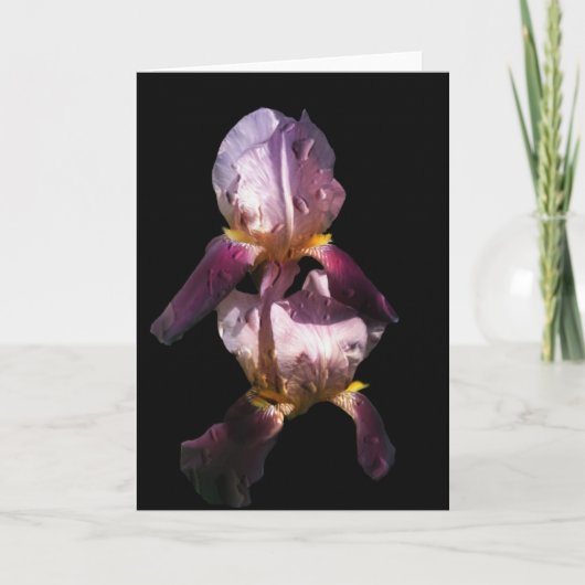 Carte Matin Iris (Devant)