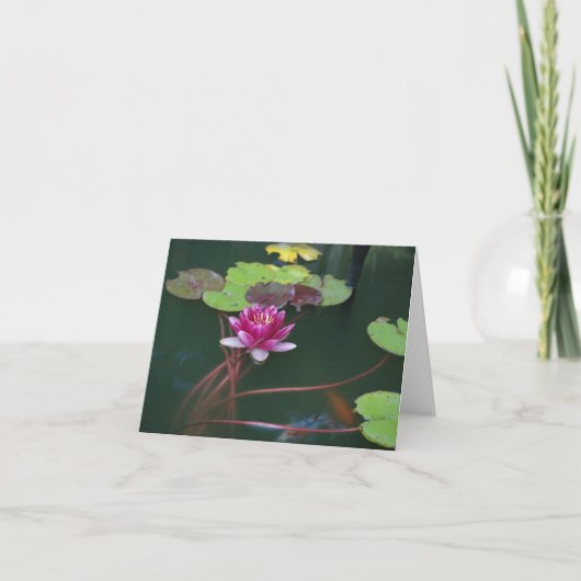 Carte Matin Lily (Devant)