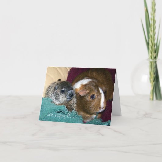 Carte Maude et Wink Note (Devant)