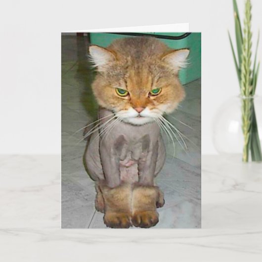 Carte mauvais anniversaire (Devant)