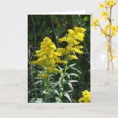 Carte Mauvaises herbes d'or (Fleur jaune)