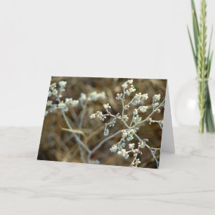 Carte mauvaises herbes lors d'un voyage de pêche
