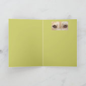 Carte Max et M. Chipmunk (Intérieur)