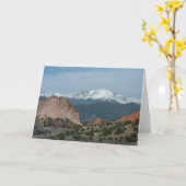 Carte maximale de brochets (Fleur jaune)