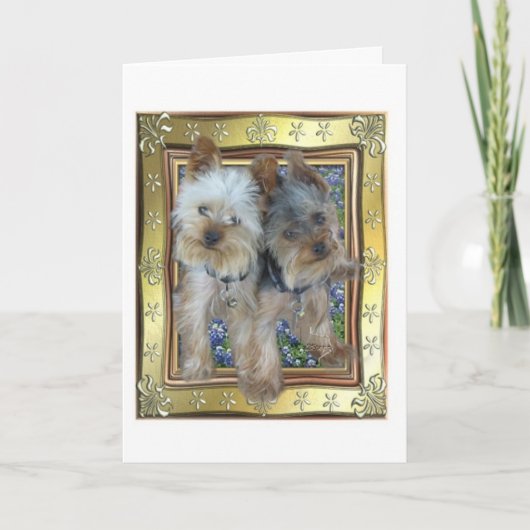 Carte maximum et de Zach (Devant)