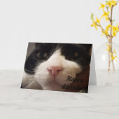 Carte Me voici : Joyeux anniversaire (Carte avec chat) (Fleur jaune)