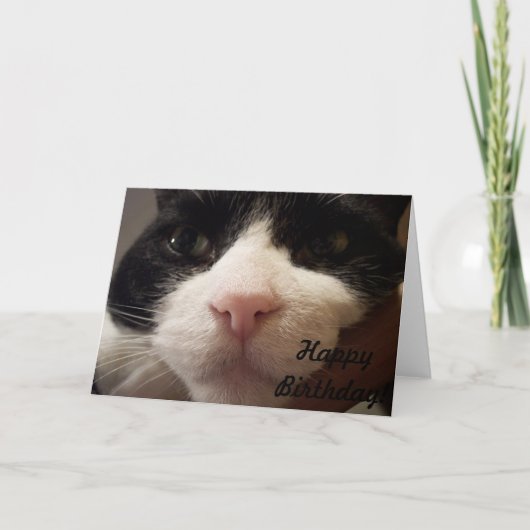 Carte Me voici : Joyeux anniversaire (Carte avec chat) (Devant)