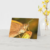 Carte Meadow Brown Beau Papillon Art (Fleur jaune)