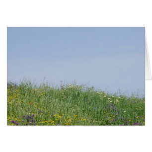 Carte Meadow Flower Summer
