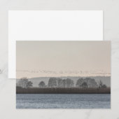 Carte Mecklenburg-Vorpommern (Devant / Derrière)