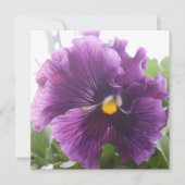 Carte Mecteld bleu (Devant)