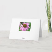 Carte Méditation dans le pré (Dos)