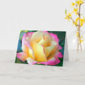 Carte Méditation Sur Un Rose (Fleur jaune)