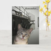 Carte Meece The Cat Encouragement (Fleur jaune)