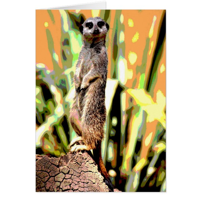 Carte Meerkat (Devant)