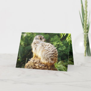 Carte Meerkat Avec Vue Haute, Fête Des Mères