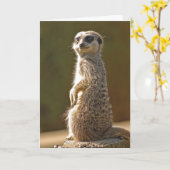 Carte Meerkat Birthday (Fleur jaune)