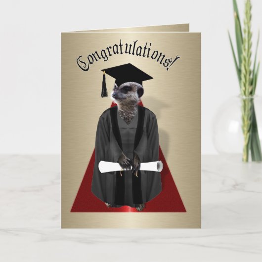 Carte Meerkat Graduate (Devant)