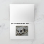 Carte Meerkat Missing You (Intérieur)