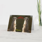 Carte Meerkat Valentine 003 (Devant)