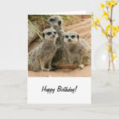 Carte Meerkats à l'affût (Fleur jaune)