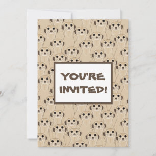 Carte Meerkats - Suricata