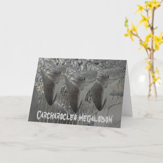 Carte Megalodon de Carcharocles (Fleur jaune)