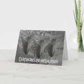 Carte Megalodon de Carcharocles (Devant)