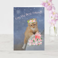 Meilleur Ami Kitten Anniversaire