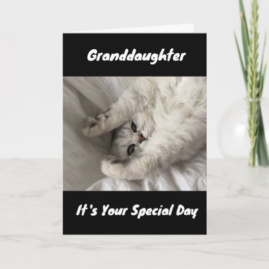 CARTE MEILLEUR ANNIVERSAIRE JAMAIS À ***GRANDFIUGHTER*** (Devant)