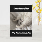 CARTE MEILLEUR ANNIVERSAIRE JAMAIS À ***GRANDFIUGHTER*** (Fleur jaune)