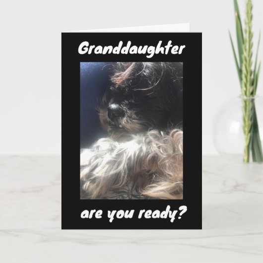 CARTE MEILLEUR ANNIVERSAIRE JAMAIS À ***GRANDFIUGHTER*** (Devant)