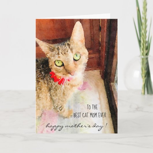 Carte Meilleure Maman Chat Jamais ! Bonne fête des mères (Devant)