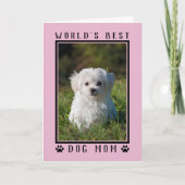 Carte Meilleure maman chien du monde Pink Mère's Day Pho (Devant)