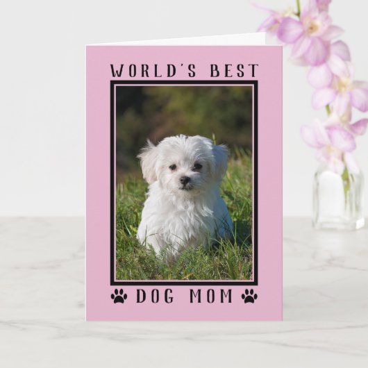 Carte Meilleure maman chien du monde Pink Mère's Day Pho (Orchidée)