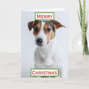 Carte Meilleure maman de chien de Noël Photo d'animal de
