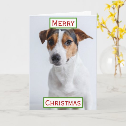 Carte Meilleure maman de chien Noël Photo de l'animal de (Fleur jaune)
