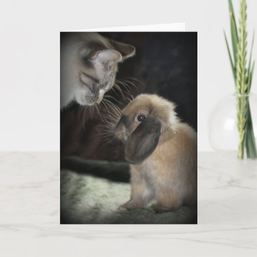 Carte Meilleurs amis (Devant)