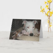 Carte Meilleurs amis… (Fleur jaune)