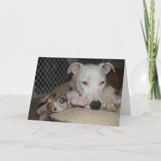 Carte Meilleurs amis…