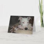 Carte Meilleurs amis… (Devant)