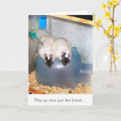 Carte Meilleurs amis 1 (Fleur jaune)