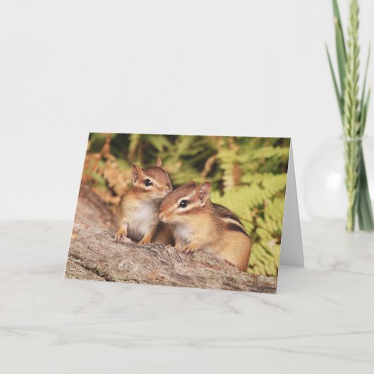 Carte Meilleurs amis Baby Chipmunks (Devant)