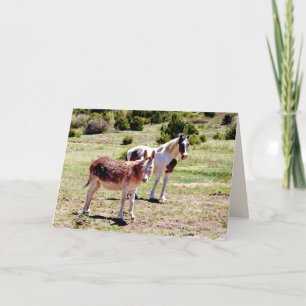 Carte Meilleurs amis pour toujours, Salutation blanche