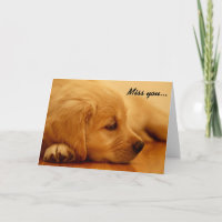 Mélancolie I de chiot de golden retriever
