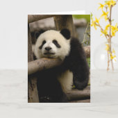 Carte Melanoleuca d'Ailuropoda de bébé de panda géant) (Fleur jaune)