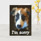 Carte Melody, je suis désolé (Fleur jaune)